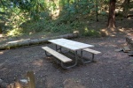 New wood on picnic tables