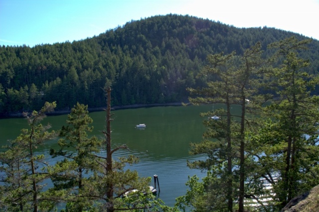 View from hill above Reid Harbor