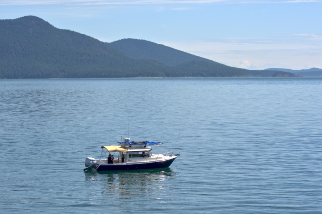 Floating by on their way to the Sucia Island after party