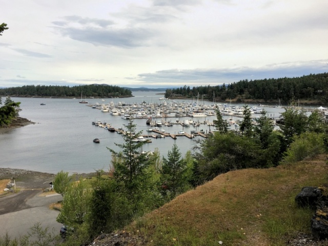 Friday I rode my bike up to Roche Harbor. It was a pretty windy morning.