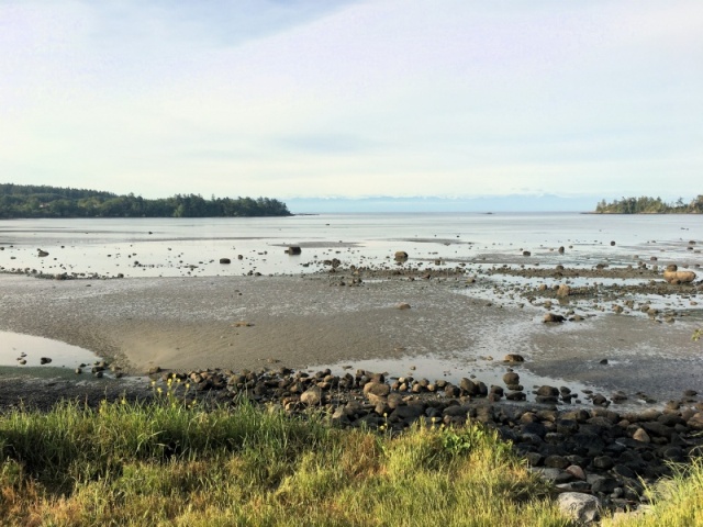 On Saturday morning I went on another ride, this time the southern end of the island. This is False Bay, on my way to Cattle Point