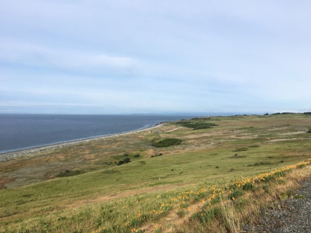 Road to Cattle Point, looking West