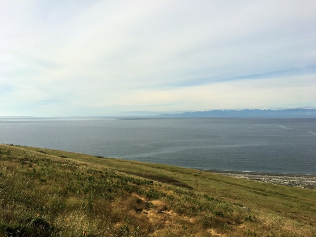 Road to Cattle Point, looking South