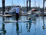 Guy paddle boarding with his cat on Saturday
