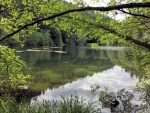 Continuing south to Lime Kiln park, theres a little lake on the east side of the road, with hiking trails.