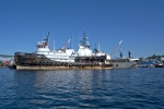 Tugboats in Lake Union