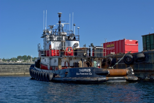 Tugboats in Lake Union