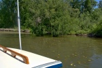 The benefits of a C-Dory. Anchored in 2.5 feet of water in lily pads, while the 50+ other boats are at least 200 yards away in deeper water.