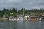 Public dock in Gig Harbor, still full the morning after July 4th.