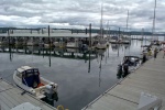 Narrows Marina