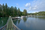 Saturday morning, July 6th Jarrell Cove