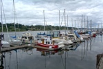 Marina in Olympia