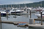 This 22' Cruiser came all the way into the marina on full plane, even though Liberty Bay is no wake.  Hopefully not C-Brats.