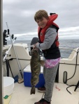 Lingcod!