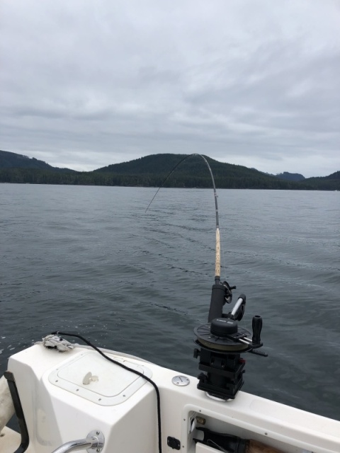 Flat calm offshore fishing