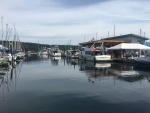 Ladysmith Community Marina, or \