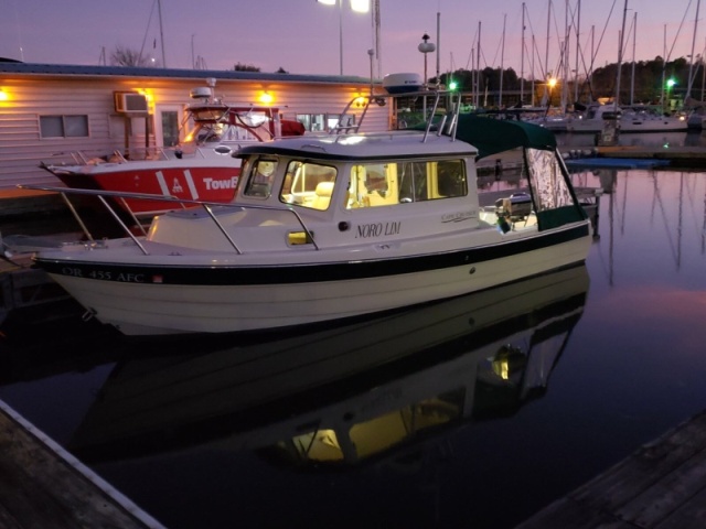 Green Turtle Marina Barkley Lake