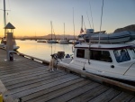 Juno glad to be on a dock