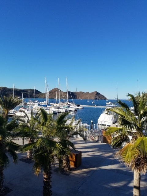 Puerto Escondido marina, from the restaurant deck, they have a brick oven for pizza, great ones.
January 2020