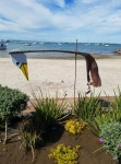 Mexicans can have such a simple but amazing creativity, a palm frond wind vane done for the city malacon.