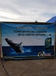 Looks like Quaker State has gone green in Mexico (4 stroke oil), Mexicans are evolving and becoming more environmentally conscious about the sea. They love all their whales especially.