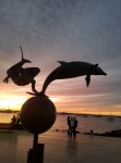 A sunset shot, another of the bronze mermaid playing with a dolphin sculpture on the La Paz Malacon.