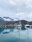 Soft rain here today this is what Washington looks like....not the desert, very strange as here it is usually summer monsoon rains.

(Puerto Escondido marina just south of Loreto)