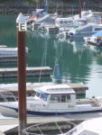 Roadtrip to Brookings finds C-Dory population