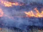 100 acre burn off to create grassy range land