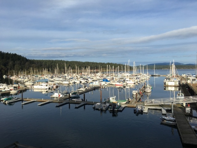 Quiet marina this time of year