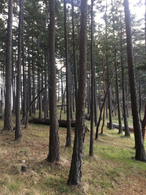 Hiking across the island