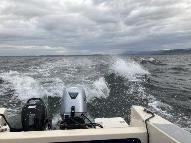 Typical Bellingham Bay crossing- big outgoing tide against incoming southerly wind