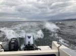 Typical Bellingham Bay crossing- big outgoing tide against incoming southerly wind