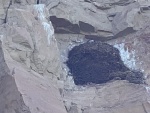 Flaming Gorge, geese in a eagles nest