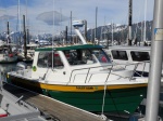 26' Pro Angler; older model that's been repainted (Seward AK, July 2010)
