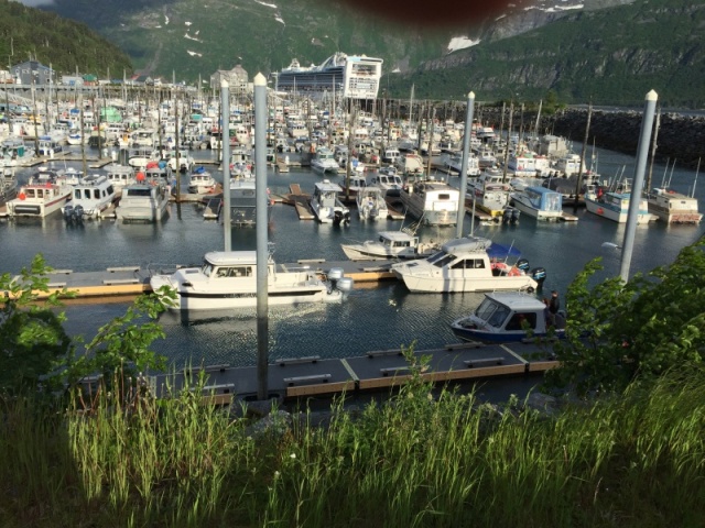 How many CDs can you find? (Whittier harbor AK, June 2017)
