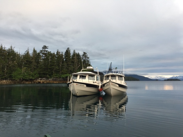 Little Dory and Big Dory (PWS Alaska, June 2017 )