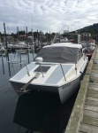 24' TomCat (Seldovia AK, July 2017), plus 3 other CDs in frame