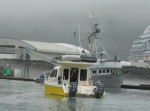 TomCat, 1st generation (Whittier AK, July 2010)