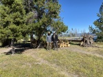 Jay & son Jayson at the Eagle Bay campsite after cutting firewood