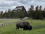 Old Faithful Inn