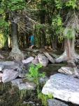 Quarry Bay Trail - under hemlocks from water