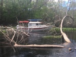 Ms Jill in the Oklawaha River