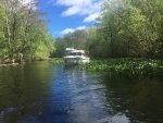 Mystery Girl in the Oklawaha River