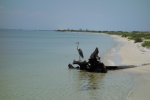 Blue Heron, Crooked Island, FL, 20 miles east of Panama City Pass.  The Gulf is calm now but picks up later