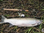 20070317 - 07 Fishing Wilson River - Guessing 10 lbs