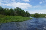 St John river creek