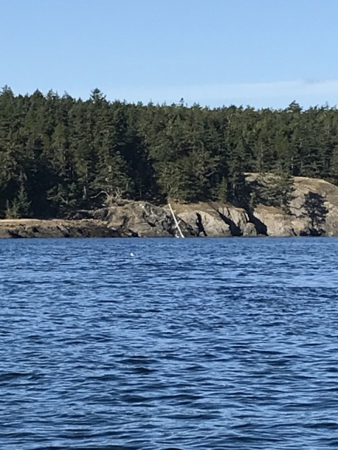 Oct - Sunken Sailboat - South End Lopez Island