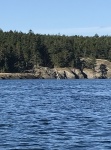 Oct - Sunken Sailboat - South End Lopez Island