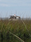 Anchored in the marsh grass near Nocatee